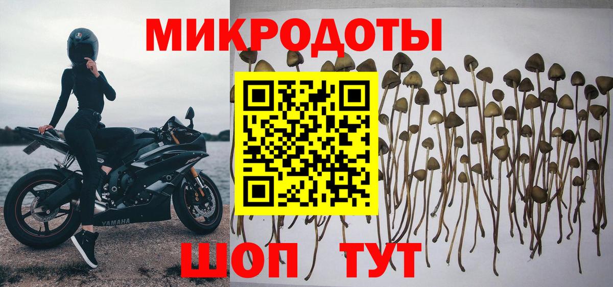 Псилоцибиновые грибы Psilocybine cubensis  Псилоцибиновые грибы мицелий  Волгодонск  Вход с VPN 