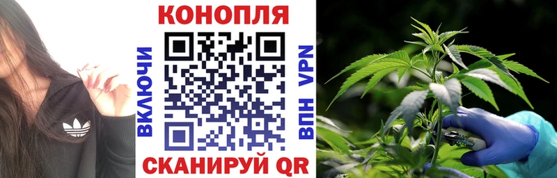 Марихуана SATIVA & INDICA  Волгодонск 